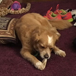 Meet your Posher, Stephanie